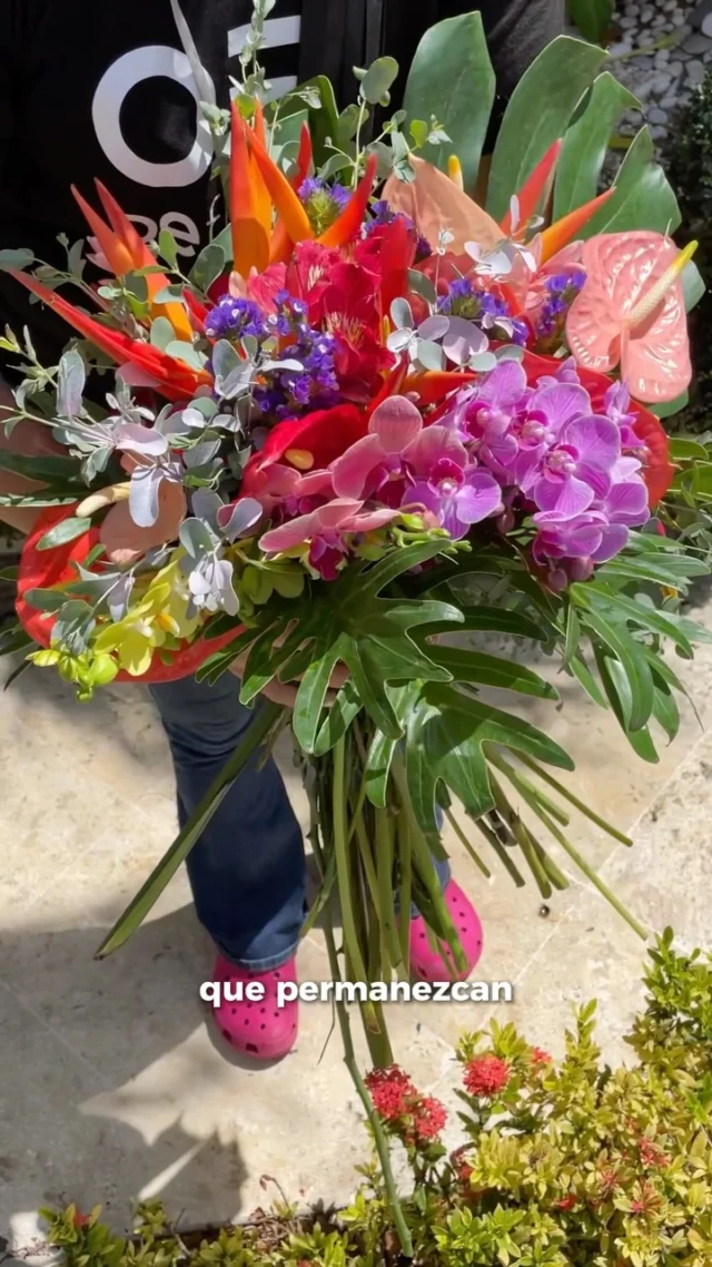 Hay detalles que no solo se ven, también se sienten.

Detalles que reflejan quiénes son, cuentan su historia y permanecen mucho después de que el gran día ha pasado.

Porque lo más hermoso no es el bouquet… sino todo lo que representa. 🤍

#BouquetDeNovia #WeddingFlowers #BodasRD #NoviasRD #WeddingInspiration